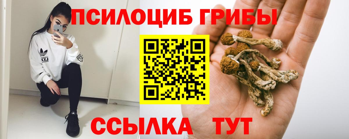 Галлюциногенные грибы Psilocybe Назрань